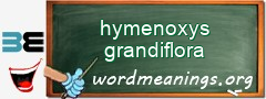 WordMeaning blackboard for hymenoxys grandiflora
